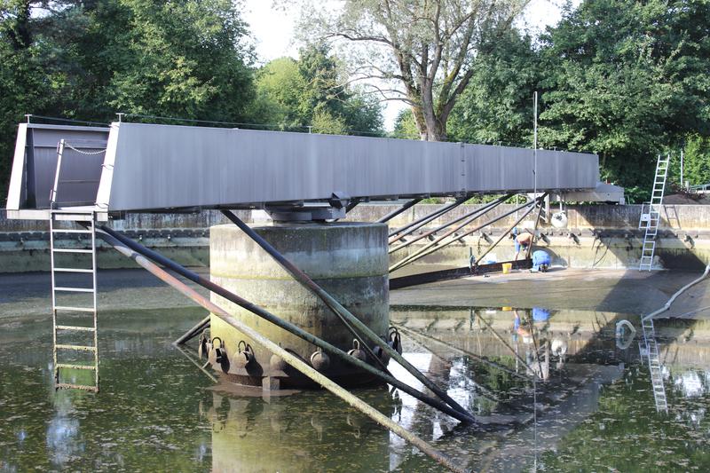 Im Nachklärbecken sorgen normalerweise Bakterien für die Abwasserreinigung