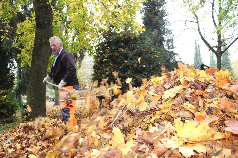Auch mit Rechen sammeln die Mitarbeiter der Stadtwerke das Laub auf dem Friedhof