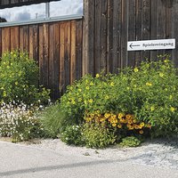 Begrünungsoffensive Pfaffenhofen