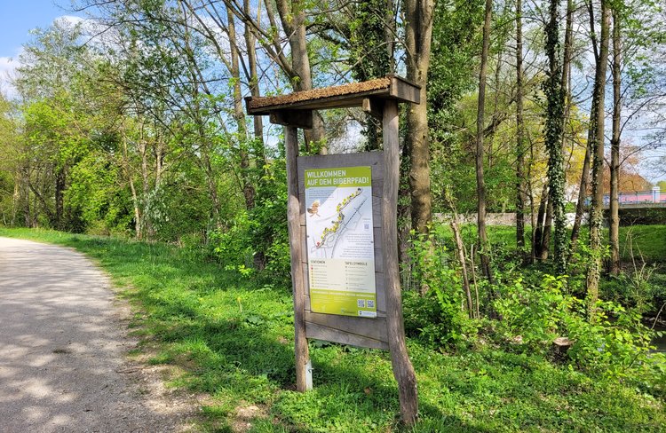Informationstafel am Startpunkt des Biberlehrpfades