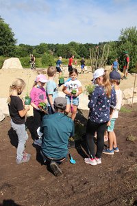 Im Vorderrund erklärt ein Experte Kindern verschiedene Pflanzen, dahinter eine Sandfläche, auf der Kinder Sand aufschütten