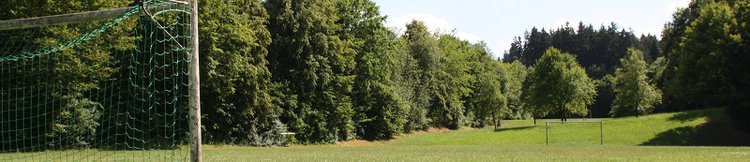 Bolzplatz mit Toren