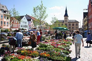 Presse - Hauptplatz mit Markt