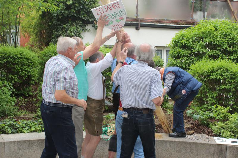 Fleißige Helfer beim Aufstellen des Maibaum