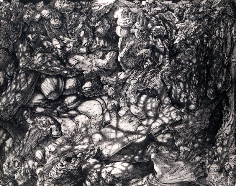 Rawle Harper: "Garden of Heavenly Delights", 1998, 157x200, Kohle auf Papier