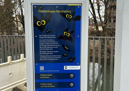 An der Fledermaus-Hörstation kann man Fledermäuse-Töne live oder vom Band hören.