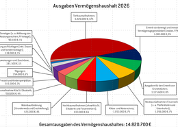 Haushaltspläne von Stadt und Stiftung für 2026