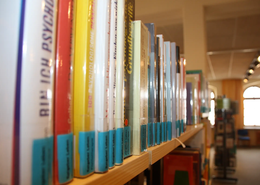  57.217 Bücher gingen 2025 in der Stadtbücherei über die Theke. 