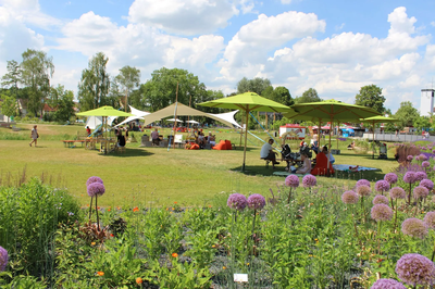 Der heutige Bürgerpark wurde zur Gartenschau 2017 neu angelegt. 