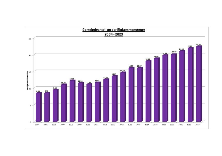 Einkommensteuer Haushalt 2020
