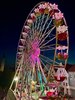IMG_8782_S