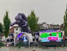 IMG_8895_S