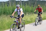 Mountainbiker fahren durch ein Hopfenfeld