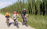 Radtour am Hopfen